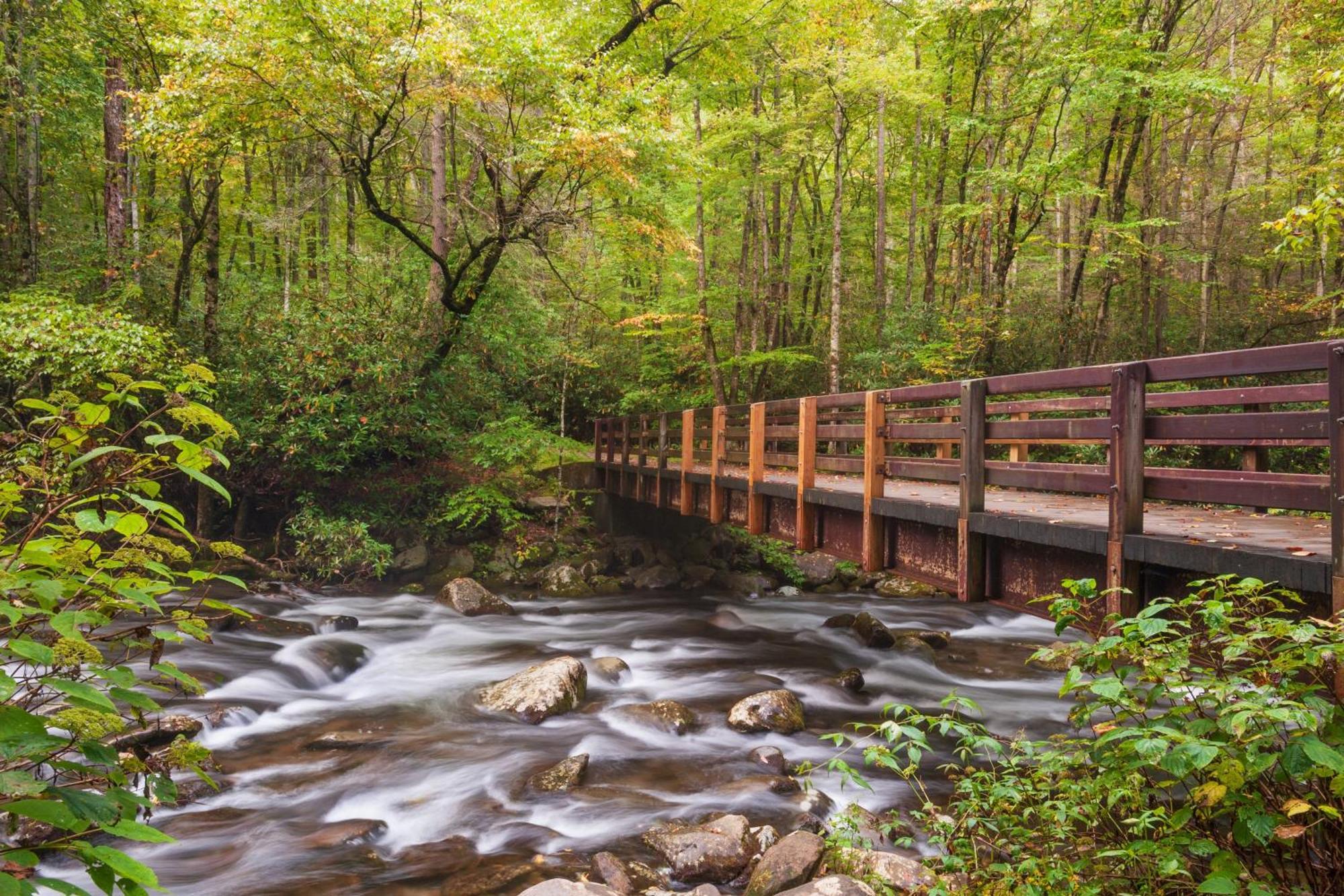 Ober Hideaway, Hot Tub, Wifi, 1089 Free Tickets Each Paid Day, Dollywood And More Gatlinburg Buitenkant foto