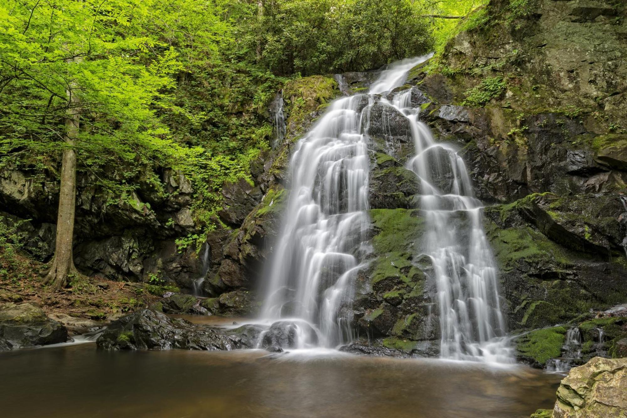 Ober Hideaway, Hot Tub, Wifi, 1089 Free Tickets Each Paid Day, Dollywood And More Gatlinburg Buitenkant foto